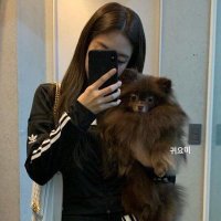 ًmai. (@dlsubae) 's Twitter Profile