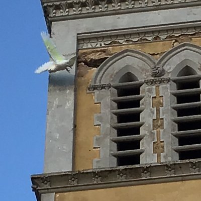 QLAnglicans's profile picture. We are Anglicans in the Borough of Queenscliffe and a member of @arrcc1 working together for #climatesolutions