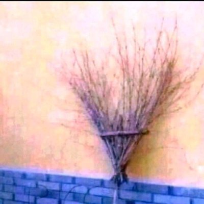 Guritakembar's profile picture. Nothing