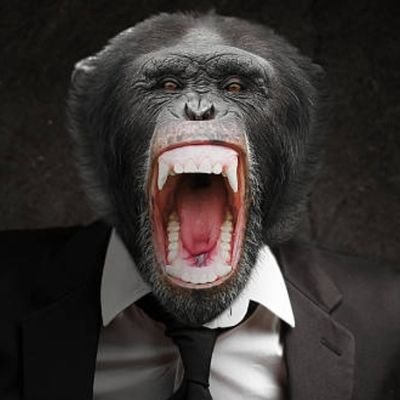 SETexasAPE's profile picture. Apeish betting