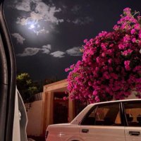 هيآم 🌿 (@vf_rr1) Twitter profile photo