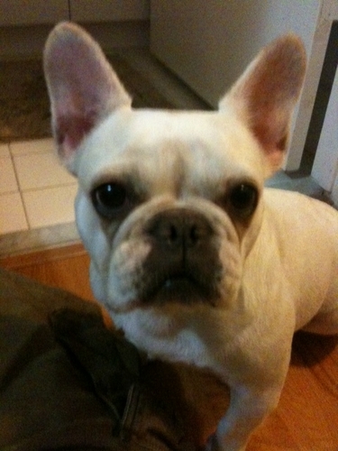 theredball's profile picture. 