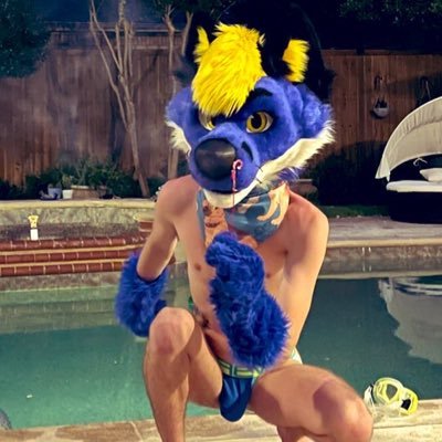 Male|25|Switch| blue knotty fox| Alpha Pup | AD of @Roxasfolf NSFW 18+ ONLY! DMs open.