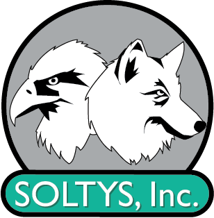 Soltys, Inc. brings bottom line results to clients through strategic alignment of people, technology, capture of opportunity and operational effectiveness.