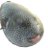 gorb_gorb_gorb's profile image