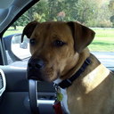 frank doty - @liferider52 - Twitter