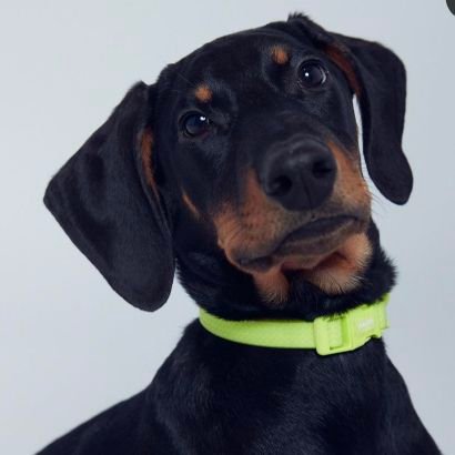 ThidaratChangc1's profile picture. 