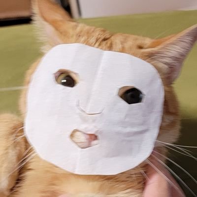 Kei_LiSA_OLiVE's profile picture. リスキー
アナタの寝息は子守唄
夢で遊んだ その後で 目覚めた朝も傍にいて