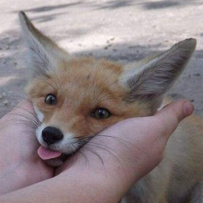 Fynicky's profile picture. 24 
He/Him
fuuuuuuuck