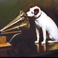 His Masters Voice 🇬🇧(@displacedyoon) 's Twitter Profileg