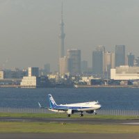 ピー (@p_nh114a_a321sl) 's Twitter Profile