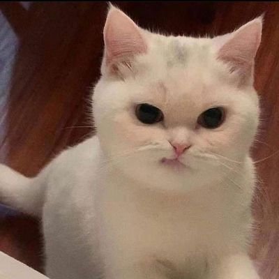 🔭: 𝐁𝐋𝐔𝐄𝐒𝐈𝐃𝐄 ― ❝내 파란 꿈속에 널 담을래 아니라고 해도 내 눈 속에.❞ 𝚑𝚊𝚟𝚎 𝚢𝚘𝚞 𝚒𝚗 𝚖𝚢 𝚍𝚛𝚎𝚊𝚖 𝚋𝚕𝚞𝚎, 𝚒𝚗 𝚖𝚢 𝚑𝚞𝚐. ...