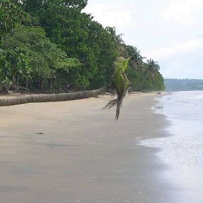 permaculturist | panafricaine | terrienne ....