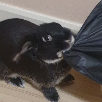 butternoie's profile picture. 