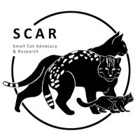 Small Cat Advocacy and Research(@smallcatadvo) 's Twitter Profile Photo