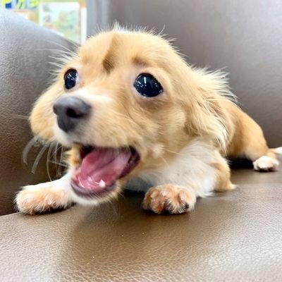 max2chan's profile picture. 不安障害 自律神経失調症 睡眠障害 鬱病 双極性障害 HSP ブランケット症候群 自立支援 手帳2級 年金2級

20/05離婚 23/01再婚 家族はあっくん:むぎ♀💕嵐 ミスチル ディズニー

千鳥:飯尾:小宮:津田:出川:ザキヤマ:草薙:稲ちゃん好き
RTばかりの方はごめんなさい

無言ﾌｫﾛｰ失礼します