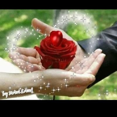 ImranJamshaid73's profile picture. Dialysis Certified, Cricketer, Sports analyst.