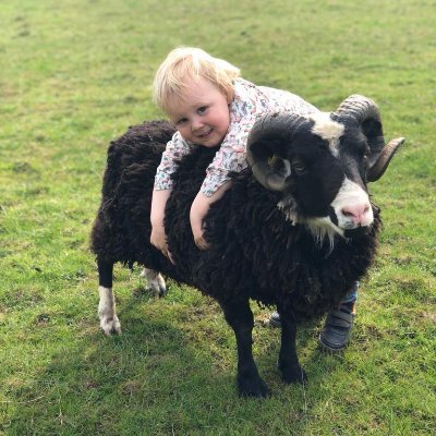 lovecedarfarm's profile picture. Lancashire's creative community hub. Studios, food, shops + courses. Repurposed architecture + design built on love. Focus on small things BIG dreams. Visit us!