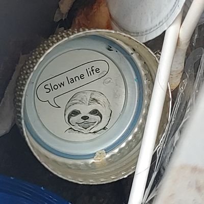 DocumenterK's profile picture. 🤪 | Cantankerous, Ohio