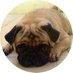 🅟🅘🅐🅟🅘🅔 🍕💚°💚°💚 (@oxymorontoo) Twitter profile photo 🅟🅘🅐🅟🅘🅔 🍕💚°💚°💚 (@oxymorontoo) Twitter profile photo