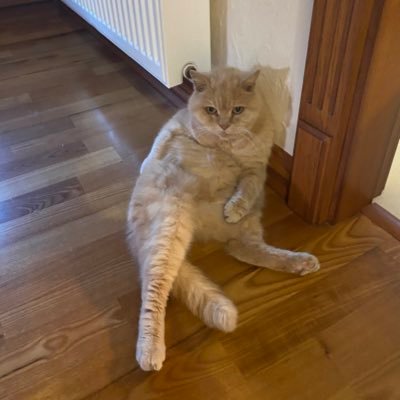 pacmanup's profile picture. 6TAC7PRU2SF1 ref code for https://t.co/Ax7NFlppFj