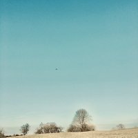 The Lost Brothers (@thelostbrothers) 's Twitter Profile
