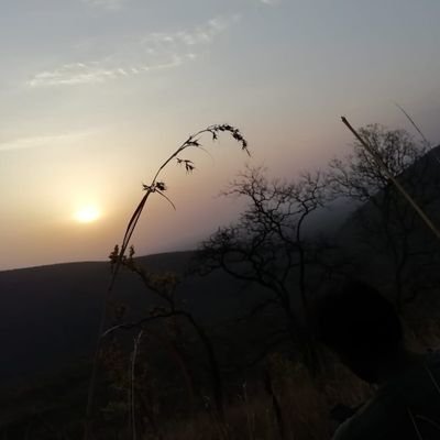 MrJack035's profile picture. Student