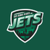 New York Jets 🇫🇷 | 5-8 (@NYJetsFrance) Twitter profile photo