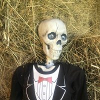 Maple Grove Cemetery (@maplegrovecem) 's Twitter Profile