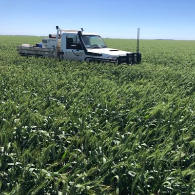 7th Gen Aussie Farmer… Grain, cotton, sheep and cattle. Bit of contract farming on the side.