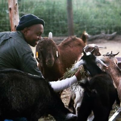 Product Brand Innovator - Qhakaza Goat Farmers Association Chairperson - Product Market Researcher - Goat Breeder & Online Trainings Co ordinator.