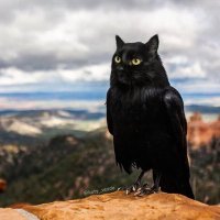 Yim (@yimyimyim6666) 's Twitter Profile