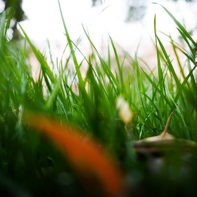 aaronqqy's profile picture. The world is so beautiful that it's worth living every day!