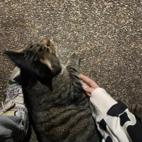 rcmmtua (@rcmmtua) 's Twitter Profile