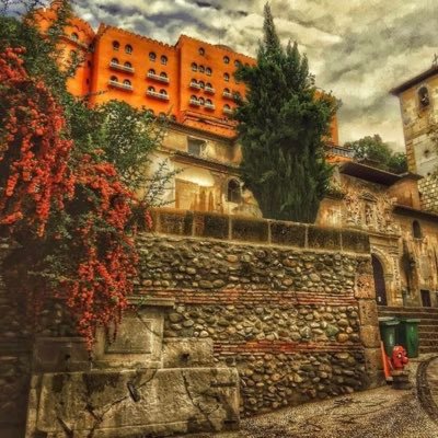 sFelicidads's profile picture. 