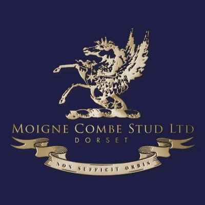 Moigne Combe Stud focusses on the breeding of high quality Thoroughbred Bloodstock.