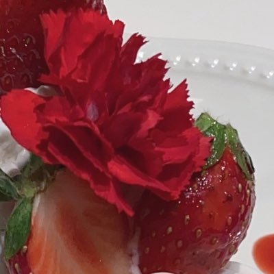 pipipi_yoo4's profile picture. 20↑ 夢 ジャンル雑多 🥂✨