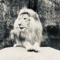 バーターけんけん (@cunnilinglove) 's Twitter Profile
