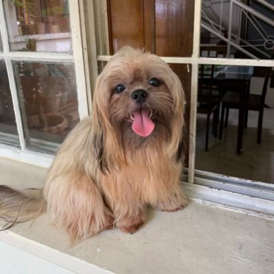 MANGGURANG's profile picture. 