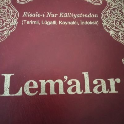 lema_lar Profile Picture