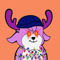 m-yer.wallet (@m_yer) Twitter profile photo