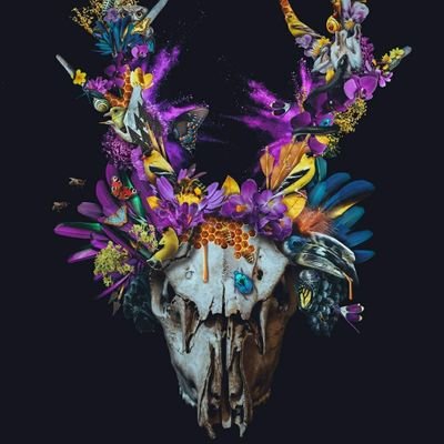 am__AP_'s profile picture. 