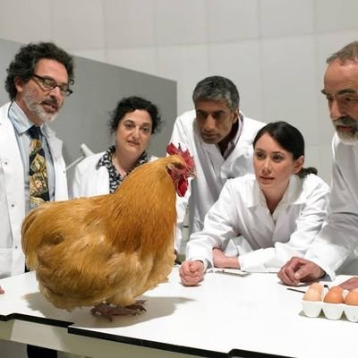 ArambhKhanderao's profile picture. Undergrad @IITM | Marketing and Public Relations Head @ecell_iitm