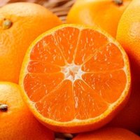 ROCKS🍊☀🌸🐍 (@rock02053625) 's Twitter Profile Photo ROCKS🍊☀🌸🐍 (@rock02053625) 's Twitter Profile Photo