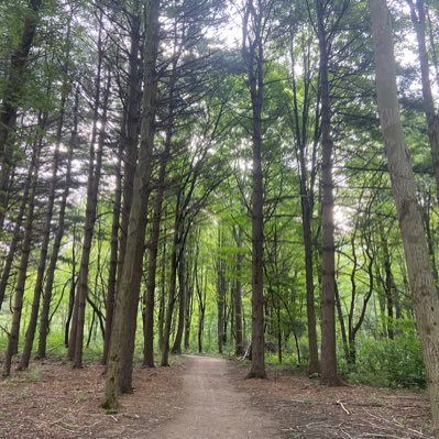 owlscan's profile picture. 