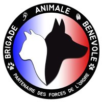 Brigade Animale Bénévole | BAB(@bab_asso) 's Twitter Profile Photo