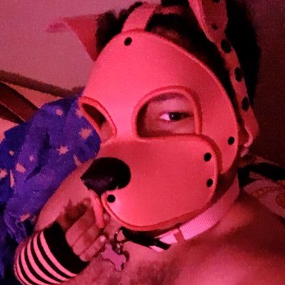 26 | Gay | Femboy | He/him/hole | I like anime, video games, furries and cute stuff | NO AGE IN BIO = BLOCKED | Feel free to DM Me!