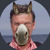 Eeeee-orrrrrrrr (@geor97) 's Twitter Profile