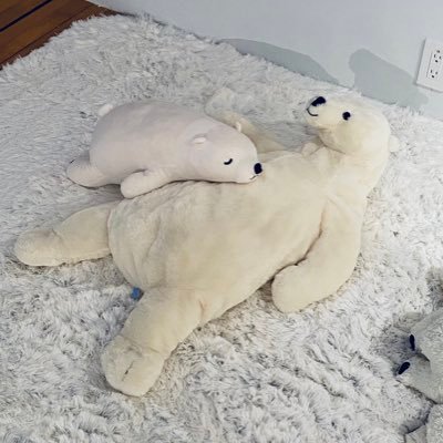 ymnktky0915's profile picture. 須賀川三中 → 郡山高校 → 東洋大学 → 社会人 / 合唱 / 卓球