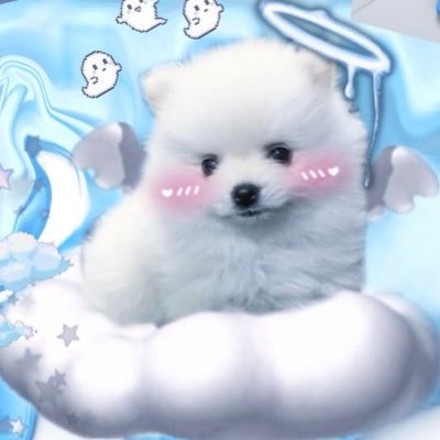 pomeZzz__'s profile picture. ぽめにゃかものショップ main:@nyanny__